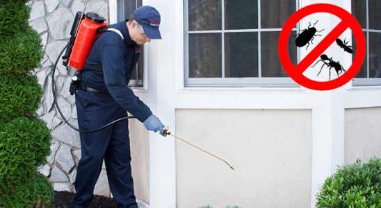 Çeltik Böcek ve Haşere İlaçlama böcek ilaçlama ve haşere kontrolü — ilaclama-tr.com